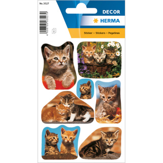 HERMA DÉCOR Stickers Photos Of Cats