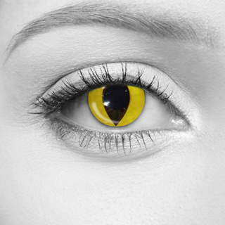 LOOX Yellow Cat Contact Lenses