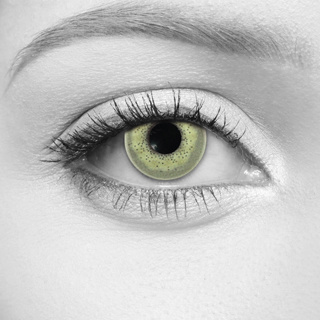 LOOX Silken Green Contact Lens