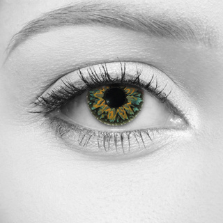 LOOX Sunburst Green Contact Lens