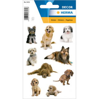 HERMA Stickers DÉCOR Photos de chiens